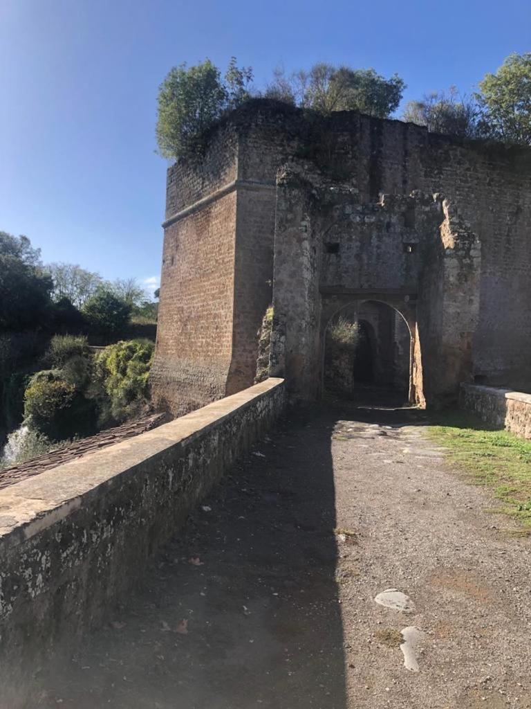 Casuale House Apartment Castel Sant'Elia Exterior photo